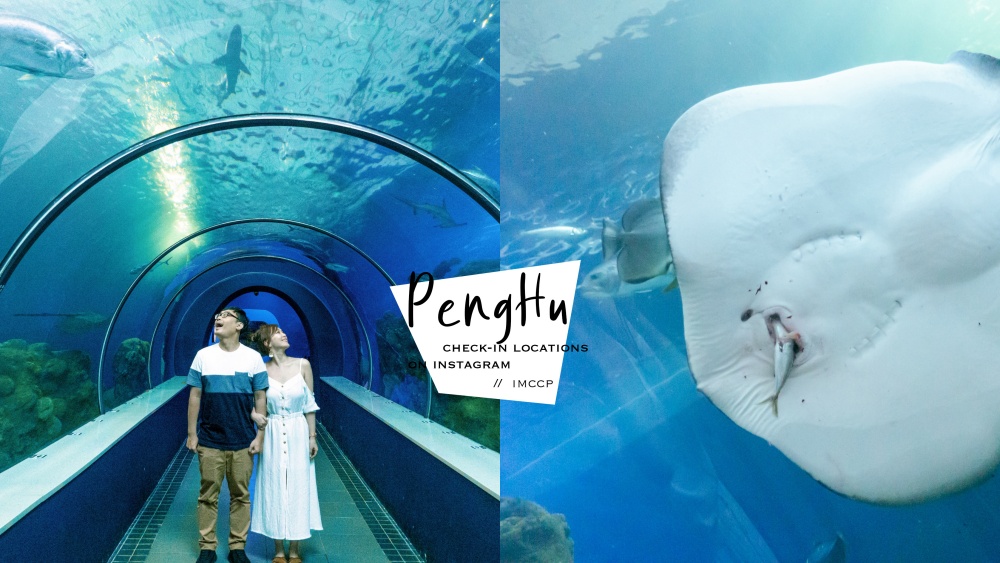 下雨/冷氣景點推薦：澎湖水族館。海底隧道&潛水員餵食秀