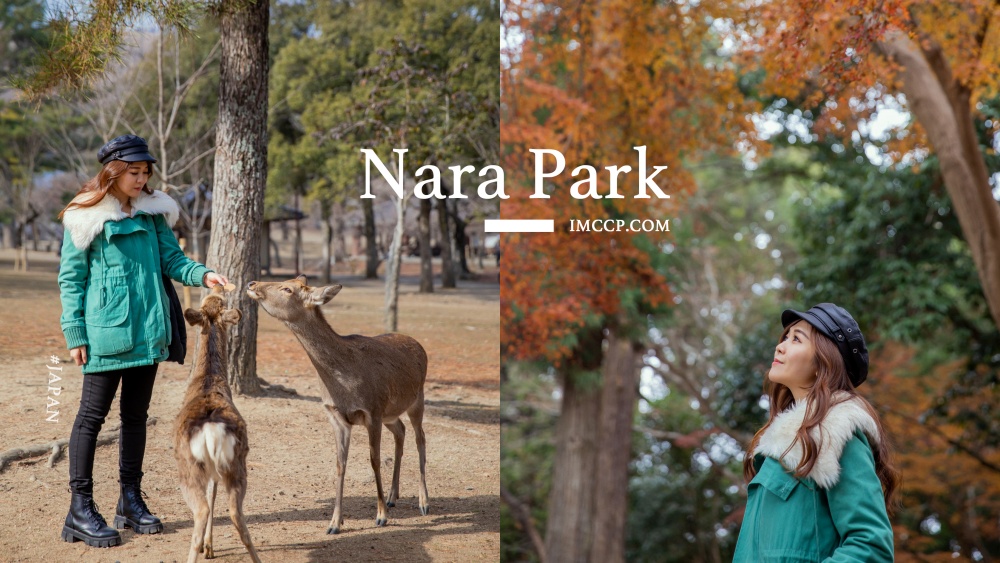小鹿斑比我來了！日本大阪奈良公園、東大寺散步半日遊