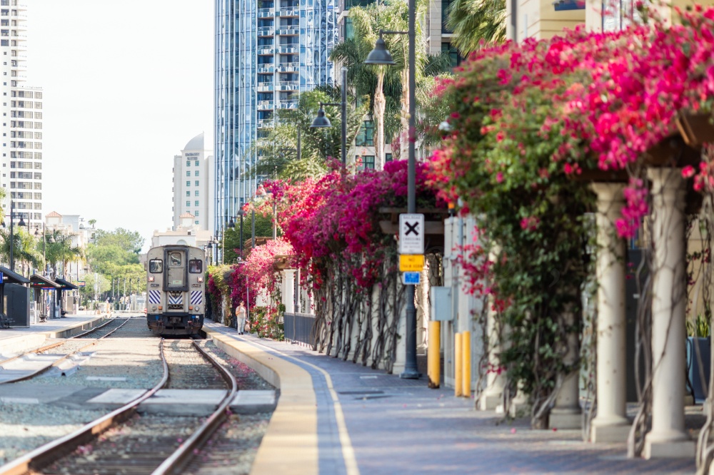 聖地牙哥自由行Trolley搭乘攻略:下載 PRONTO App、綁定信用卡教學 聖地牙哥自由行Trolley搭乘攻略:下載 PRONTO App、綁定信用卡教學