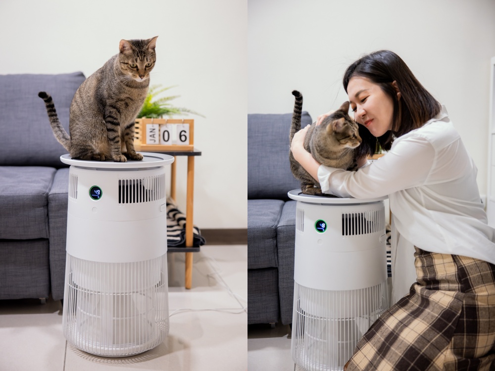 我為什麼選擇POIEMA 新氣几？美觀實用兼具零耗材空氣清淨機