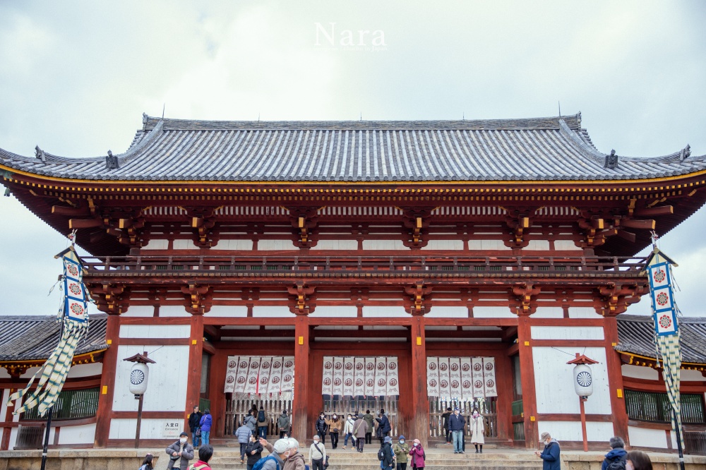 日本奈良,奈良鹿,奈良公園,東大寺,奈良交通